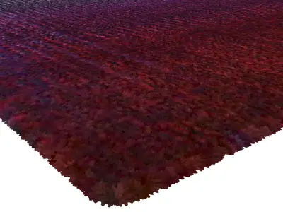 Rug Set 1764 3D model