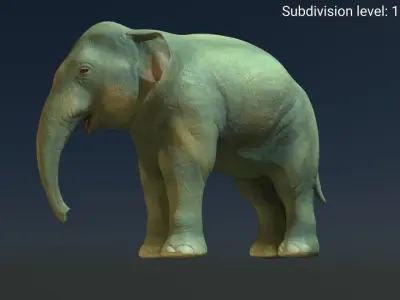 Young  asian elephant Low-poly 3D model