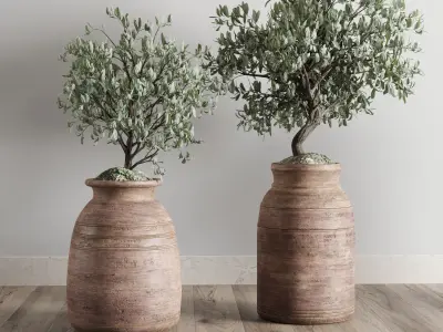 collection outdoor plant 19 -wood old vase Low-poly 3D model