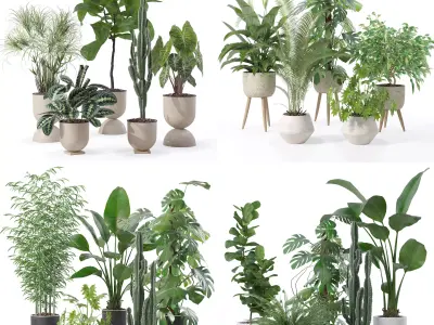 20 Photorealistic Flowers for Interiors - set 118- 121- 125- 128 3D Model Collection