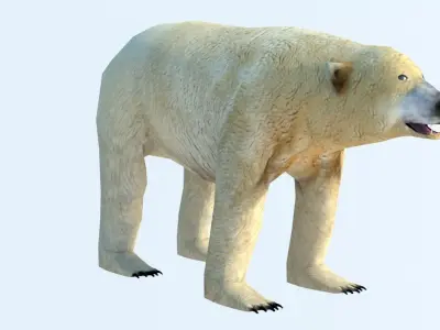 Low Poly Polar Bear Low-poly 3D model