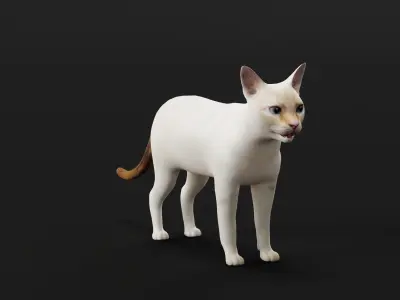 Flame Point Red Siamese Cat Low-poly 3D model