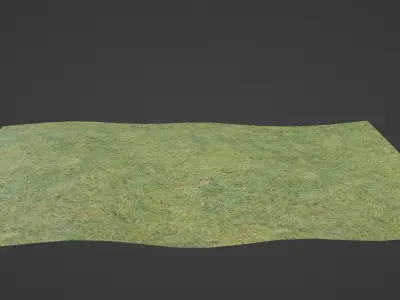 Grass for render Low-poly 3D model