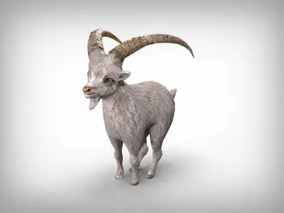 Goat low poly with long horns Low-poly 3D model