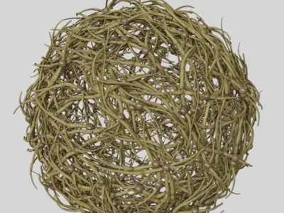 Tumbleweed stylized 3D model