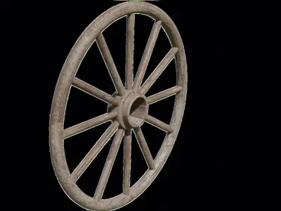 Wooden Tire 3D model