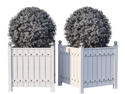 Street bushes in boxes 3D model