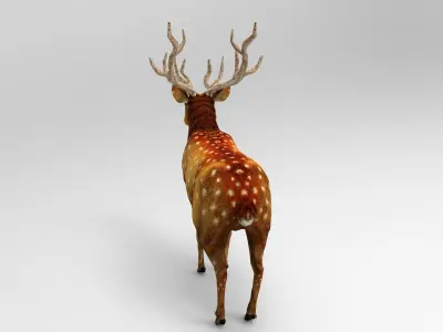 3d Deer low poly with antlers Low-poly 3D model