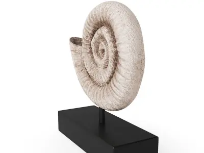 Fossil Shell 3D model
