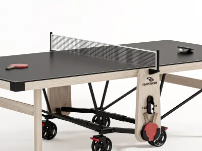 Rasson Premium W2266 Ping Pong Table 3D model