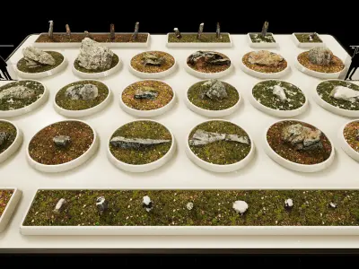 Scan Nature Pack - UE Project 4 10 Low-poly 3D model