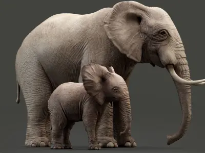 Elephant and Baby Elephant Animated 8K Low-poly 3D model