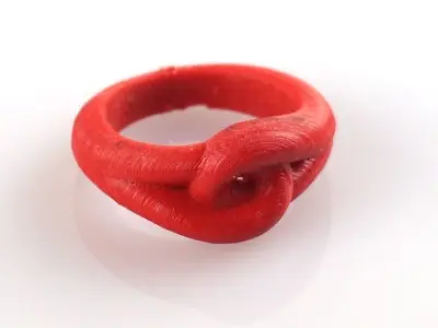 true lover s knot 3D print model