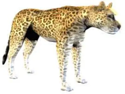 Animal Pack 3D model