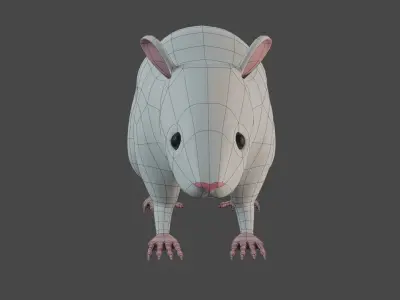 Rat 3d model 3D model