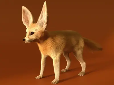 Fennec Fox Realism 3D model Low-poly 3D model