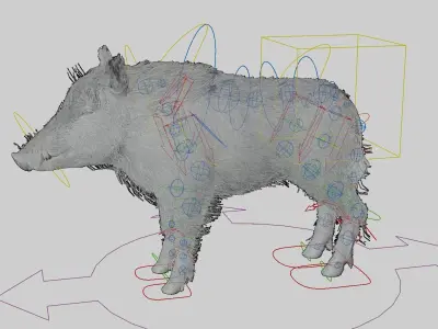 WILD BOAR RIGGED Low-poly 3D model