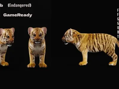 Tiger Cub Mammal Low-poly 3D model