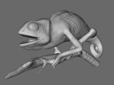 Chameleon 3D model