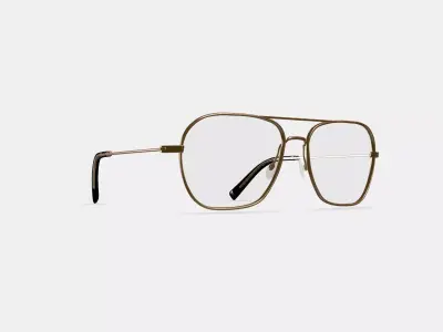Abe Eyeglasses in Polished Gold 3D model