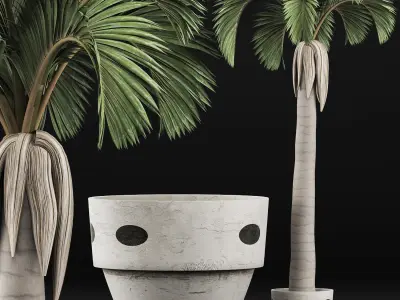 Plants Collection 133 Big Palm 3D model