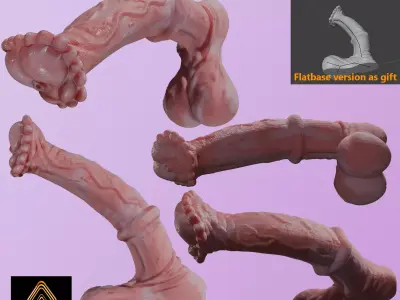 Horse Penis Albino Rigged Low-poly 3D model