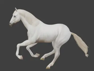  3D Model Running White Horse Low-poly 3D model