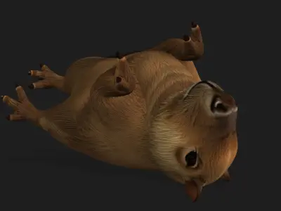 Capybara-A1 3D model
