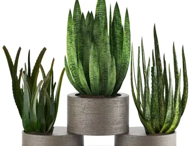 Indoor Plants in Ferm Living Bau Pot Large - Set026 3D model