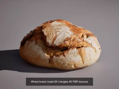 Wheat breads 3D Model Collection