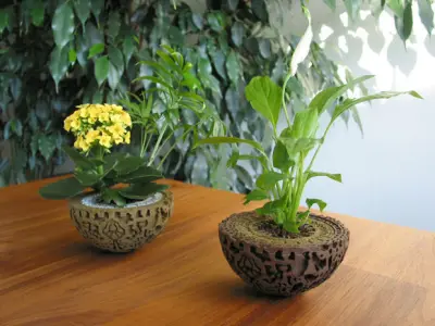 Guardians of the Galaxy Plant Pot 3D print model