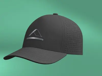 Flex Hat Black  3D model