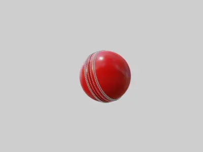 Cricket ball 3d Model Free 3D model