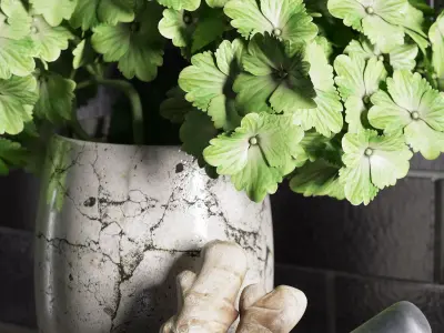 Kitchen Decoration Set 3D model