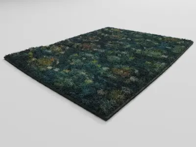 Green Carpet 3D model