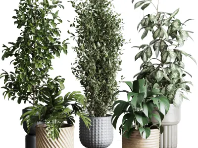 Collection indoor plant 277 pot concrete dirt vase 3D model