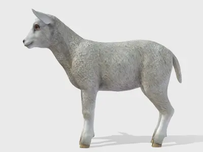 Lamb realistic Low-poly 3D model