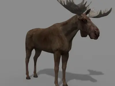 Virtual Moose 3d model 3D model