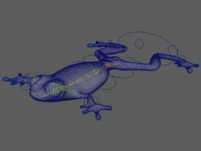 Frog 3D model 3D model