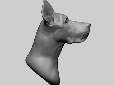 Dog Bust 3D model