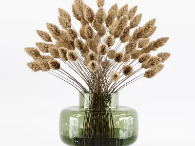 Pampas Plant 02 Low-poly 3D model