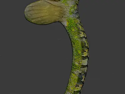 Flying snake creature Low-poly 3D model