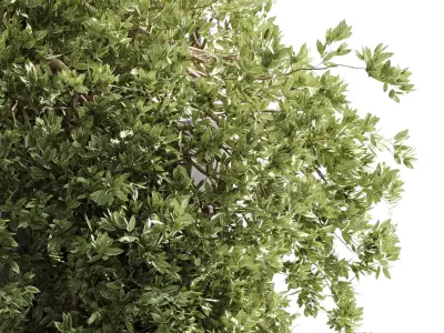 indoor outdoor Indoor plants hanging pot metal box vase 3D model