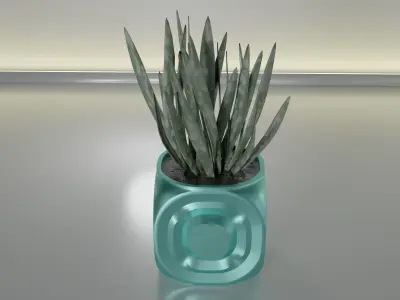 succulent plant pot 20 3D print model
