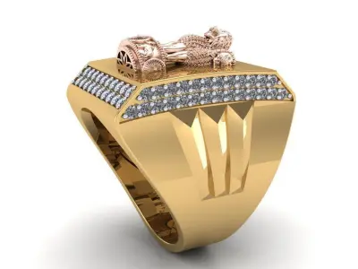 The INDIA Ashoka Ring for Man 3D print model