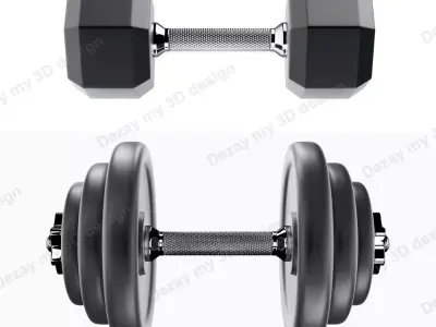 Set of dumbbells for sports 3D model
