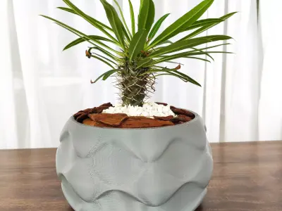 Decorative design vase for plants 3D print model