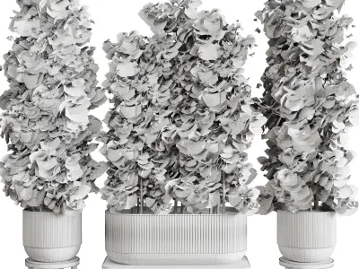 Collection indoor outdoor plant 144 plant bamboo vase concrete 3D model