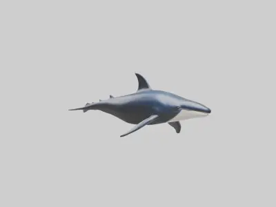 Minke Whale statue model 3D model