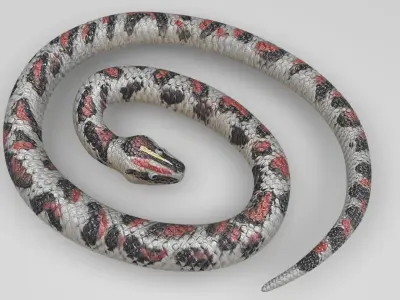 Rubber Snake 3D model